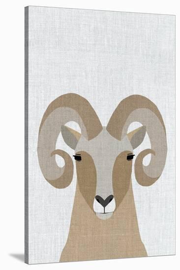 Bighorn Sheep-Annie Bailey Art-Stretched Canvas