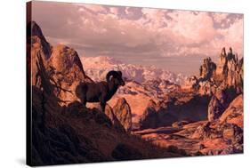 Bighorn Sheep-Designwest-Stretched Canvas