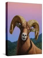 Bighorn-James W. Johnson-Stretched Canvas