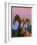 Bighorn-James W. Johnson-Framed Premium Giclee Print