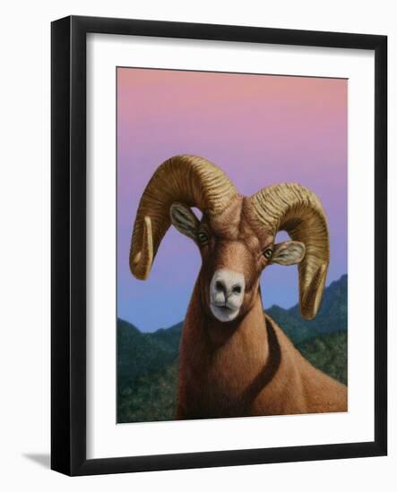 Bighorn-James W. Johnson-Framed Giclee Print