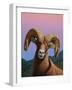 Bighorn-James W. Johnson-Framed Giclee Print