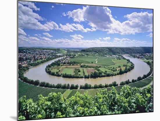 Bight of Neckar River, Mundelsheim, Baden Wurttemberg, Germany, Europe-Marcus Lange-Mounted Photographic Print