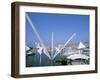 Bigo by Renzo Piano, Porto Antico, Port Area, Genoa (Genova), Liguria, Italy-Bruno Morandi-Framed Photographic Print