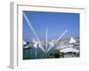 Bigo by Renzo Piano, Porto Antico, Port Area, Genoa (Genova), Liguria, Italy-Bruno Morandi-Framed Photographic Print