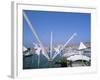 Bigo by Renzo Piano, Porto Antico, Port Area, Genoa (Genova), Liguria, Italy-Bruno Morandi-Framed Photographic Print