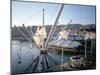 Bigo (Crane) by Renzo Piano, Old Port (Porto Antico), Genoa (Genova), Liguria, Italy-Oliviero Olivieri-Mounted Photographic Print