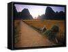 Bike and Ricefield, Yangshuo, Guangxi, China-Walter Bibikow-Framed Stretched Canvas