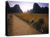 Bike and Ricefield, Yangshuo, Guangxi, China-Walter Bibikow-Stretched Canvas