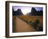 Bike and Ricefield, Yangshuo, Guangxi, China-Walter Bibikow-Framed Photographic Print