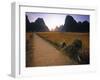 Bike and Ricefield, Yangshuo, Guangxi, China-Walter Bibikow-Framed Photographic Print