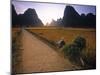 Bike and Ricefield, Yangshuo, Guangxi, China-Walter Bibikow-Mounted Photographic Print