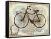 Bike France-Amanda Wade-Framed Stretched Canvas