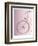 Bike I-TypeLike-Framed Art Print