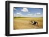 Bike in a Field in the Dutch Countryside North of Amsterdam, Netherlands-Carlo Acenas-Framed Photographic Print