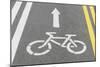Bike Lane, Road For Bicycles-ChamilleWhite-Mounted Art Print