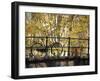 Bike on Bridge, Amsterdam, Holland-Alan Copson-Framed Photographic Print