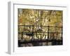 Bike on Bridge, Amsterdam, Holland-Alan Copson-Framed Photographic Print