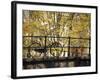 Bike on Bridge, Amsterdam, Holland-Alan Copson-Framed Photographic Print