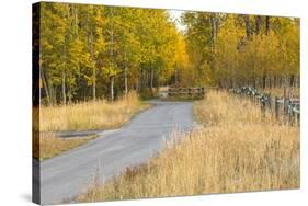 Bike path in autumn, Grand Teton National Park.-Adam Jones-Stretched Canvas