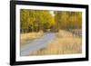 Bike path in autumn, Grand Teton National Park.-Adam Jones-Framed Photographic Print