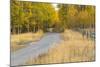 Bike path in autumn, Grand Teton National Park.-Adam Jones-Mounted Photographic Print