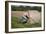 Bike Riding into Hay Bail-null-Framed Photographic Print