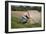 Bike Riding into Hay Bail-null-Framed Photographic Print