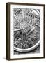 Bike Spoke-Karyn Millet-Framed Photographic Print