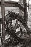 California Ranch-Bike Tourist-Photographic Print