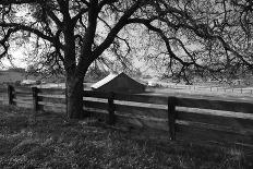 California Ranch-Bike Tourist-Photographic Print