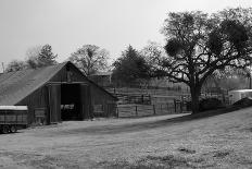 California Ranch-Bike Tourist-Photographic Print