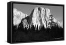 Framed Canvas
