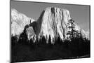 Wood Mount