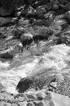 Half Dome-Bike Tourist-Photographic Print