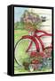 Bike With Birds And Flowers Flag-Melinda Hipsher-Framed Stretched Canvas