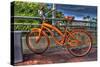 Bike-Robert Kaler-Stretched Canvas