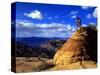 Biker Challenges Slickrock near Rockville, Utah, USA-Howie Garber-Stretched Canvas