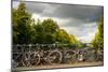 Bikes on Bridge I-Erin Berzel-Mounted Photographic Print