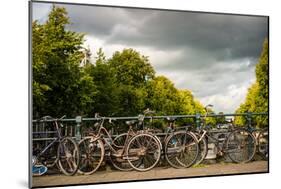 Bikes on Bridge I-Erin Berzel-Mounted Photographic Print