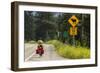 Biking, Adventure Cycling Glacier Waterton Tour, Fernie, British Columbia-Chuck Haney-Framed Photographic Print