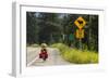 Biking, Adventure Cycling Glacier Waterton Tour, Fernie, British Columbia-Chuck Haney-Framed Photographic Print