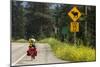 Biking, Adventure Cycling Glacier Waterton Tour, Fernie, British Columbia-Chuck Haney-Mounted Photographic Print