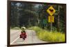 Biking, Adventure Cycling Glacier Waterton Tour, Fernie, British Columbia-Chuck Haney-Framed Photographic Print