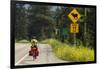 Biking, Adventure Cycling Glacier Waterton Tour, Fernie, British Columbia-Chuck Haney-Framed Photographic Print