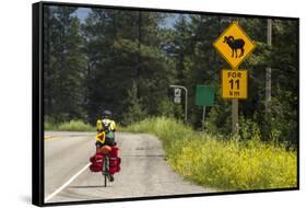 Biking, Adventure Cycling Glacier Waterton Tour, Fernie, British Columbia-Chuck Haney-Framed Stretched Canvas