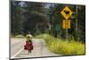 Biking, Adventure Cycling Glacier Waterton Tour, Fernie, British Columbia-Chuck Haney-Mounted Photographic Print