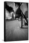 Biking Chicagos Lakefront BW-Steve Gadomski-Framed Stretched Canvas