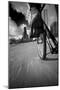 Biking Chicagos Lakefront BW-Steve Gadomski-Mounted Photographic Print