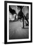 Biking Chicagos Lakefront BW-Steve Gadomski-Framed Photographic Print